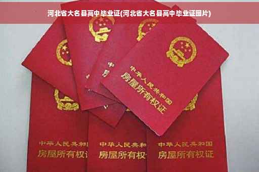 河北省大名县高中毕业证(河北省大名县高中毕业证图片)