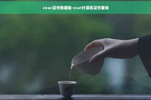 ceac证书有哪些-ccat计算机证书查询