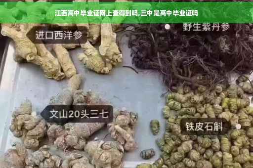 江西高中毕业证网上查得到吗,三中是高中毕业证吗