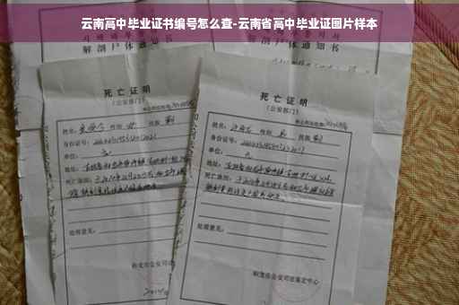 云南高中毕业证书编号怎么查-云南省高中毕业证图片样本