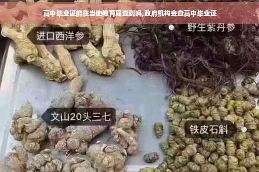 高中毕业证能在当地教育局查到吗,政府机构会查高中毕业证