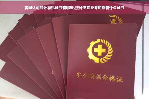 美国认可的计算机证书有哪些,统计学专业考的都有什么证书