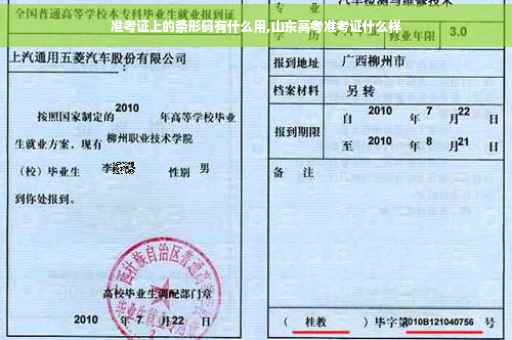 准考证上的条形码有什么用,山东高考准考证什么样