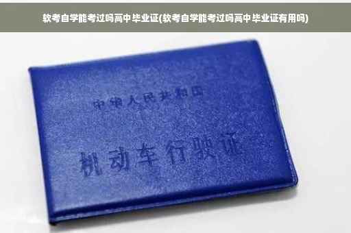 软考自学能考过吗高中毕业证(软考自学能考过吗高中毕业证有用吗)