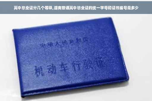 高中毕业证分几个等级,湖南普通高中毕业证的统一学号和证书编号是多少
