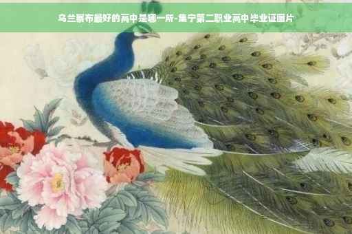 乌兰察布最好的高中是哪一所-集宁第二职业高中毕业证图片