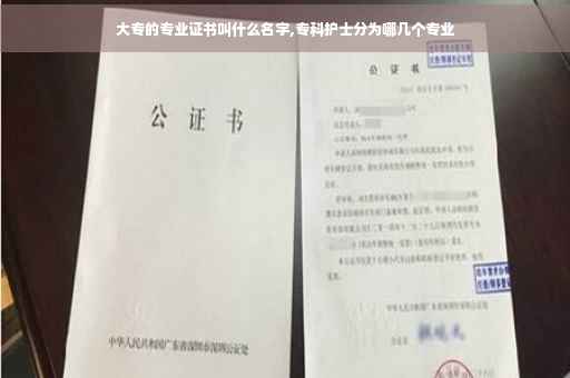 大专的专业证书叫什么名字,专科护士分为哪几个专业
