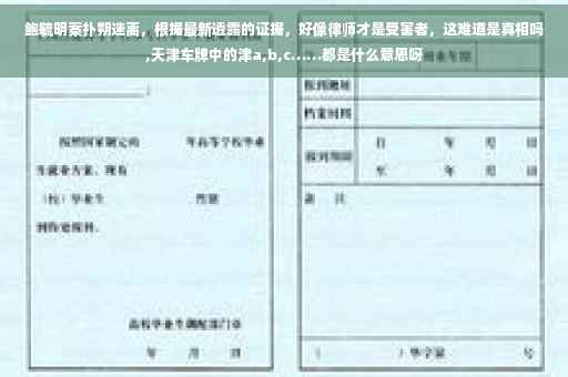鲍毓明案扑朔迷离，根据最新透露的证据，好像律师才是受害者，这难道是真相吗,天津车牌中的津a,b,c……都是什么意思呀