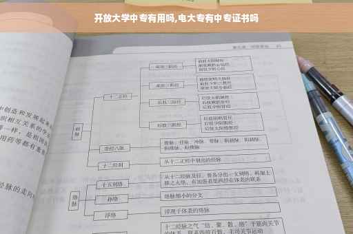 开放大学中专有用吗,电大专有中专证书吗
