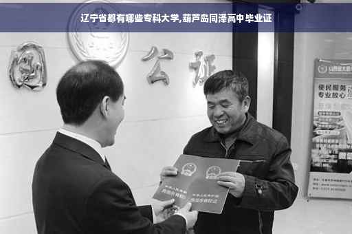 辽宁省都有哪些专科大学,葫芦岛同泽高中毕业证