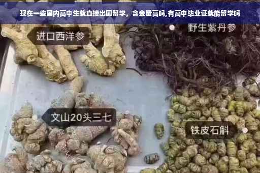 现在一些国内高中生就直接出国留学，含金量高吗,有高中毕业证就能留学吗