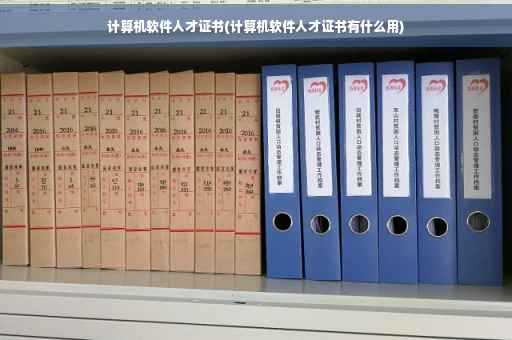 计算机软件人才证书(计算机软件人才证书有什么用)