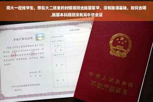 现大一视传学生，想在大二结束的时候插班去韩国留学，没有韩语基础，如何去呢,韩国本科插班没有高中毕业证