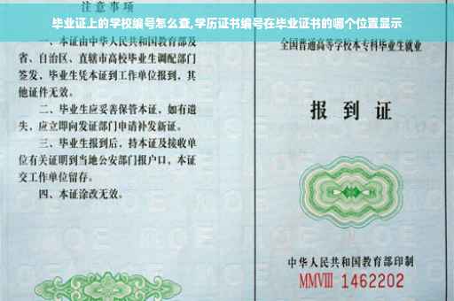 毕业证上的学校编号怎么查,学历证书编号在毕业证书的哪个位置显示