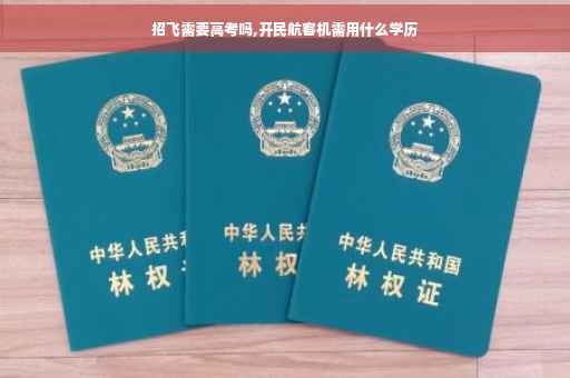 招飞需要高考吗,开民航客机需用什么学历