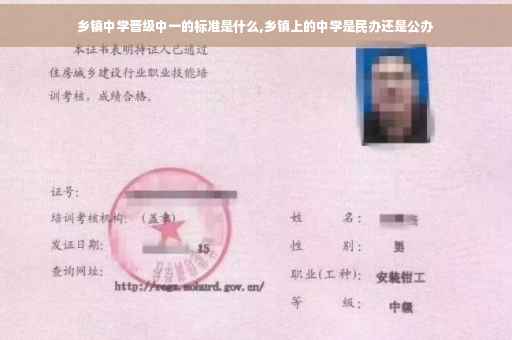 乡镇中学晋级中一的标准是什么,乡镇上的中学是民办还是公办