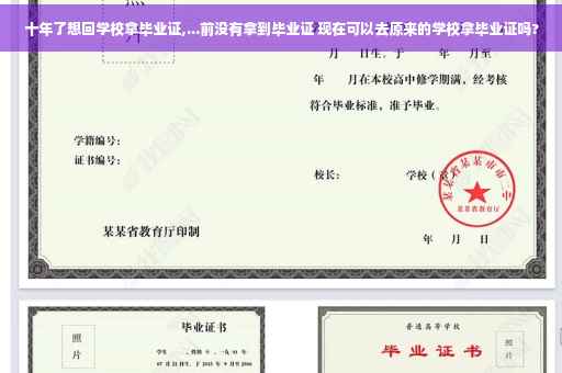 十年了想回学校拿毕业证,...前没有拿到毕业证 现在可以去原来的学校拿毕业证吗?