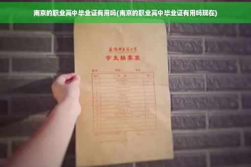 南京的职业高中毕业证有用吗(南京的职业高中毕业证有用吗现在)