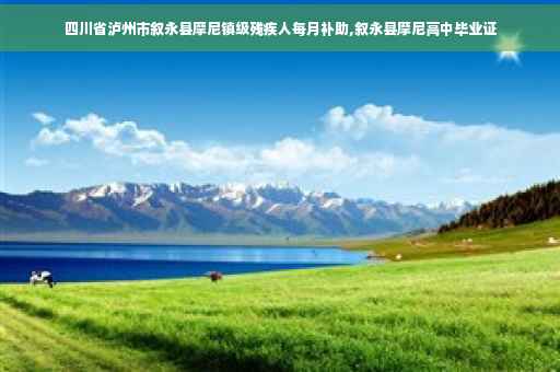 四川省泸州市叙永县摩尼镇级残疾人每月补助,叙永县摩尼高中毕业证