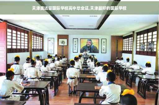 天津美达菲国际学校高中毕业证,天津最好的国际学校