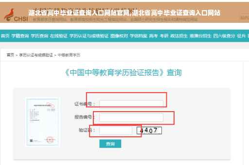 湖北省高中毕业证查询入口网站官网,湖北省高中毕业证查询入口网站