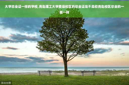 大学毕业证一样的学校,青岛理工大学费县校区的毕业证是不是和青岛校区毕业的一模一样