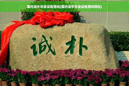 国内高中毕业证有用吗(国内高中毕业证有用吗现在)