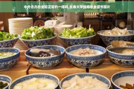 中外合办毕业和正常的一样吗,长春大学统招毕业证书图片