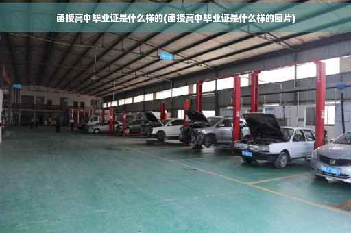 函授高中毕业证是什么样的(函授高中毕业证是什么样的图片)