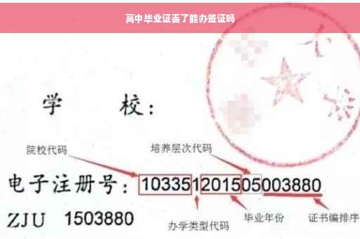 高中毕业证丢了能办签证吗