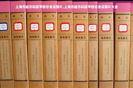 上海市城市科技学校毕业证图片,上海市城市科技学校毕业证图片大全