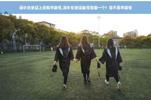 高中毕业证上没有学籍号,高中毕业证编号是哪一个？是不是学籍号