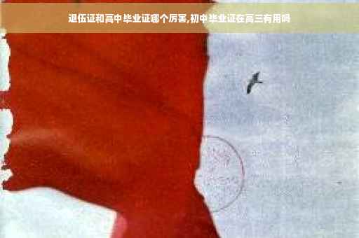 退伍证和高中毕业证哪个厉害,初中毕业证在高三有用吗