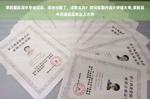 拿到国际高中毕业证后，没法出国了，该怎么办？如何在国内读大学或大专,拿到高中毕业证后怎么上大学
