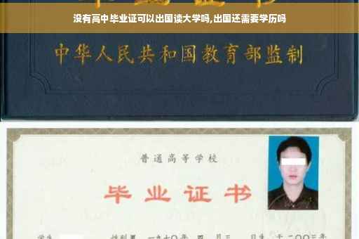 没有高中毕业证可以出国读大学吗,出国还需要学历吗