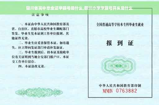 回川省高中毕业证学籍号是什么,四川小学学籍号开头是什么