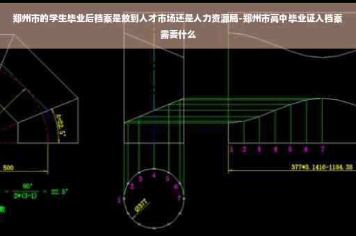 郑州市的学生毕业后档案是放到人才市场还是人力资源局-郑州市高中毕业证入档案需要什么
