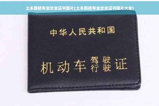 土木路桥专业毕业证书图片(土木路桥专业毕业证书图片大全)