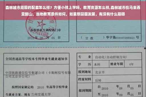 森林城市周围的配套怎么样？方便小孩上学吗，教育资源怎么样,森林城市在马来西亚新山，当地教育条件如何，如果想回国发展，有没有什么障碍