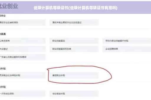 低级计算机等级证书(低级计算机等级证书有用吗)