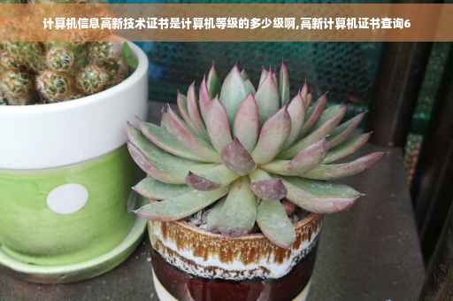 计算机信息高新技术证书是计算机等级的多少级啊,高新计算机证书查询6