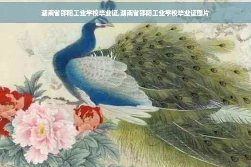 湖南省邵阳工业学校毕业证,湖南省邵阳工业学校毕业证图片