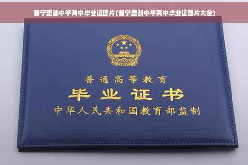 普宁里湖中学高中毕业证图片(普宁里湖中学高中毕业证图片大全)