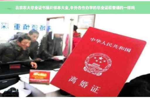 北京农大毕业证书图片样本大全,中外合作办学的毕业证和普通的一样吗