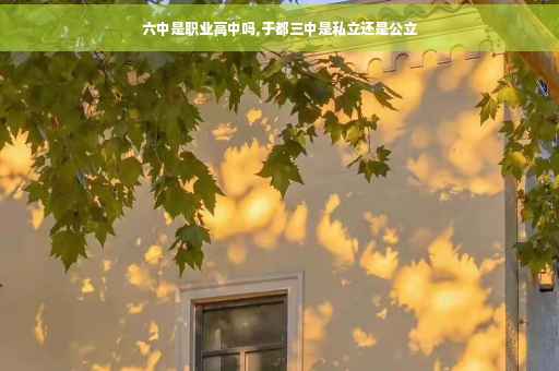 六中是职业高中吗,于都三中是私立还是公立