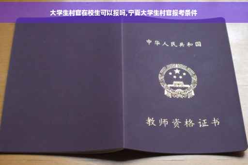 大学生村官在校生可以报吗,宁夏大学生村官报考条件