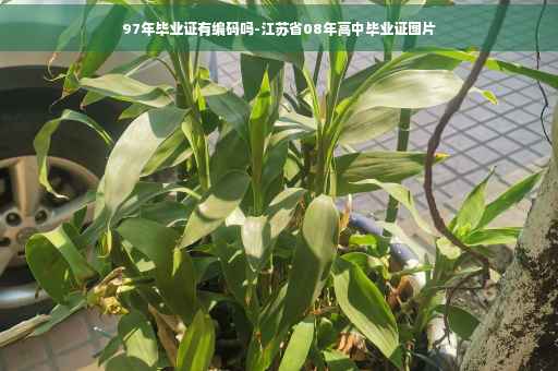 97年毕业证有编码吗-江苏省08年高中毕业证图片