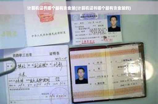计算机证书哪个最有含金量(计算机证书哪个最有含金量的)