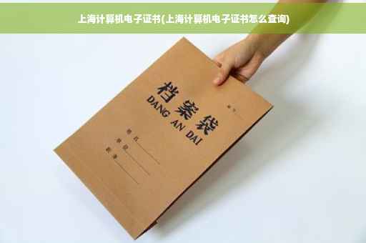 上海计算机电子证书(上海计算机电子证书怎么查询)