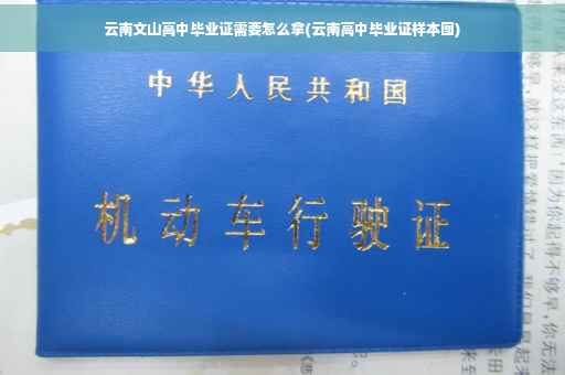 云南文山高中毕业证需要怎么拿(云南高中毕业证样本图)